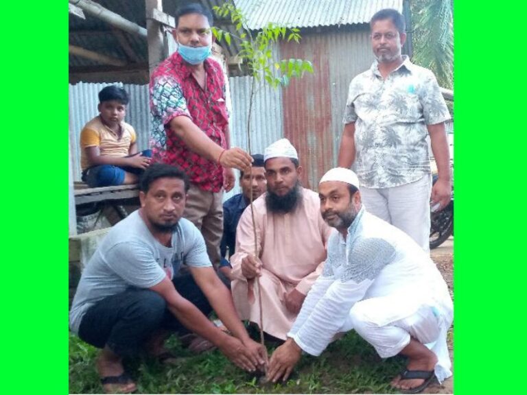 মেয়র প্রার্থী হাজী মো: জাহাঙ্গীর আলমের বৃক্ষ রোপন