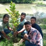 Nakla Tree Planting