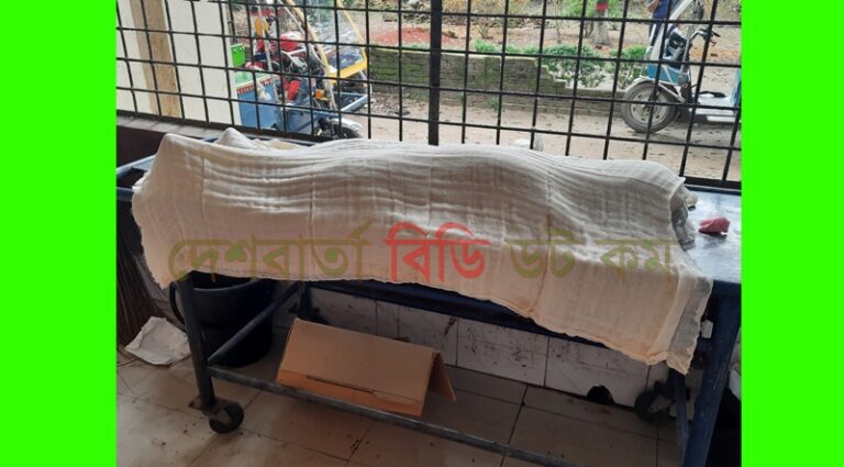 শ্রীবরদীতে পানিতে ডুবে শিশুর মৃত্যু