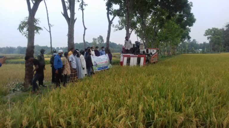 নকলায় কম্বাইন হার্ভেস্টারের মাধ্যমে সমলয়ে বোর ধানের ফসল কর্তন উদ্বোধন