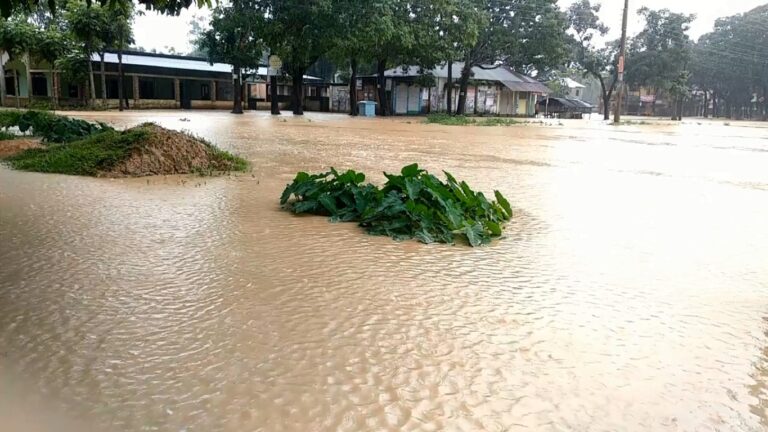 শেরপুরে নামতে শুরু করেছে পাহাড়ি ঢলের পানি
