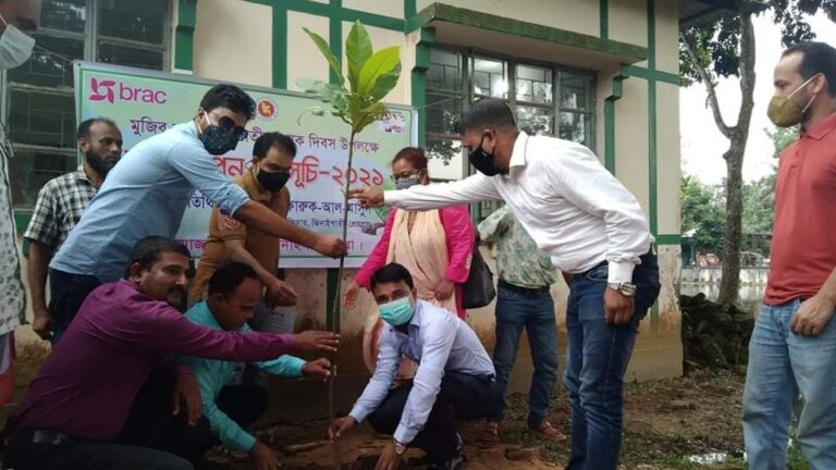 ঝিনাইগাতীতে ব্র্যাকের উদ্যোগে বৃক্ষরোপণ কর্মসূচি পালিত 