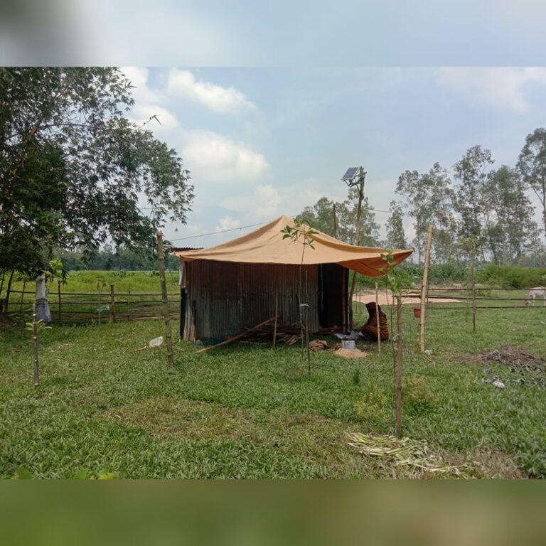 ঝিনাইগাতীতে ক্রয়কৃত জায়গা জবর দখলের পায়তারার অভিযোগ