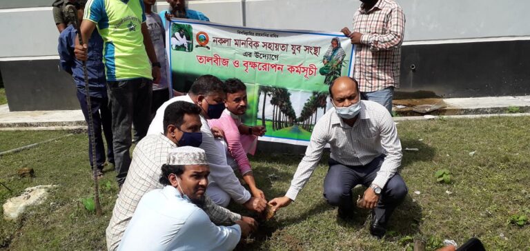 নকলায় তালবীজ রোপন