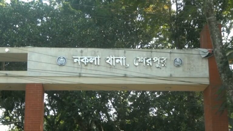 নকলায় পৃথক দুটি ঘটনায় মৃত্যু-২