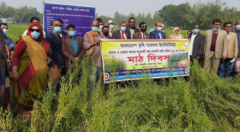 শেরপুরে বারি সরিষা-১৪ আবাদের ওপর মাঠ দিবস অনুষ্ঠিত