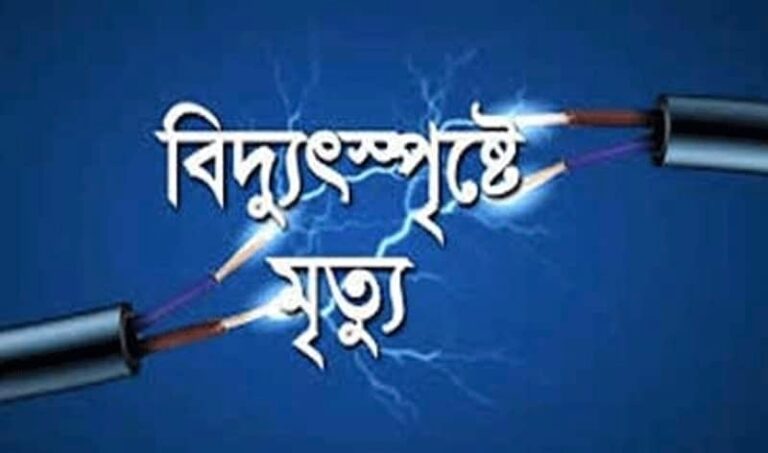 বিদ্যুৎস্পৃষ্টে প্রান গেল শ্রীবরদীর এক গৃহবধুর