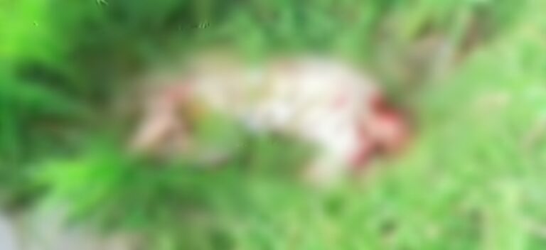 ঝিনাইগাতীতে জমি সংক্রান্ত বিরোধের জের ধরে প্রতিপক্ষের হামলায় কৃষক নিহত