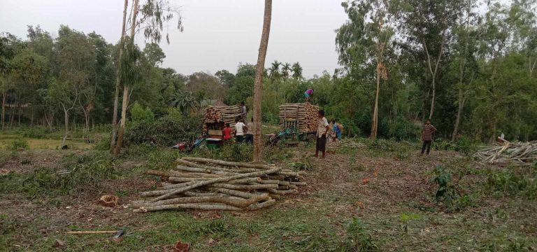 শেরপুরের গারো পাহাড়ে সামাজিক বন সৃজনের অজুহাতে বেদখল হচ্ছে বনের জমি !