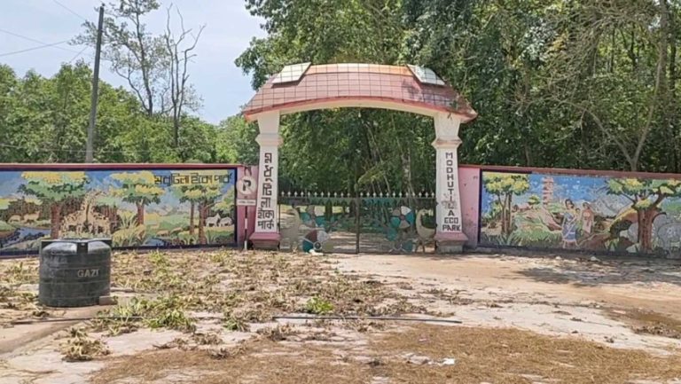 শেরপুরে মধুটিলা ইকোপার্কে বন্যহাতির তাণ্ডব