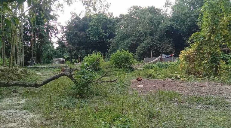 শেরপুরে তোতা হত্যাকান্ডে ২১ পরিবার পুরুষ শূণ্য
