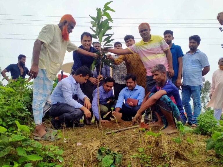 ঝিনাইগাতীতে ইউসিবি ব্যাংকের  উদ্যোগে বৃক্ষরোপন কর্মসূচির উদ্বোধন
