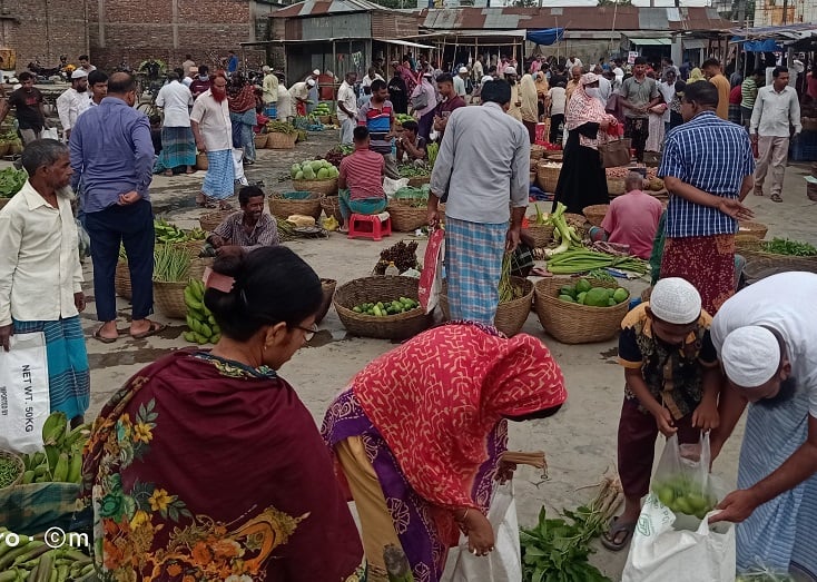 ভোর হতেই ঢল নামে শেরপুরের হাজীর বাজারে