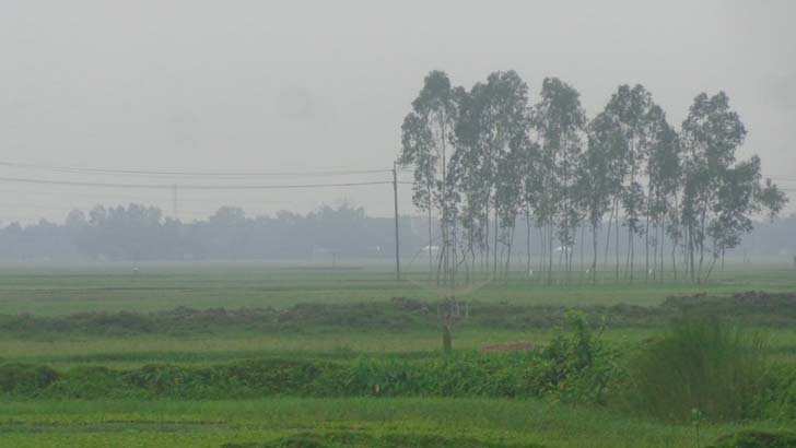 আষাঢ়ের শেষে শেরপুরে ফের কুয়াশা