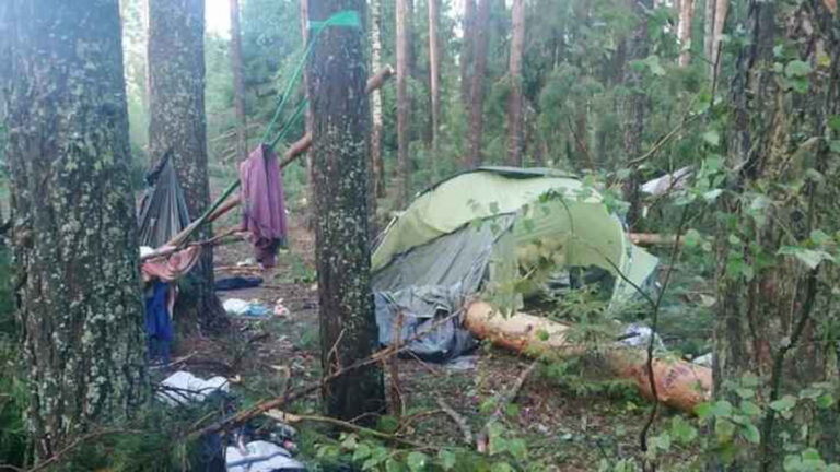 মাথায় গাছ পড়ে প্রাণ গেল ৮ জনের