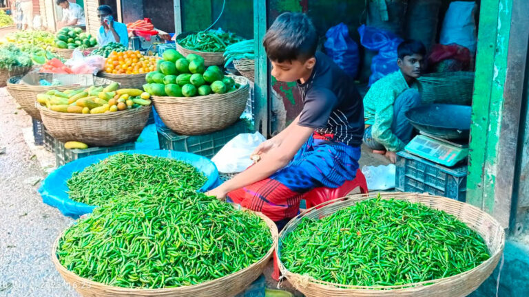 কিশোরগঞ্জে কাঁচা মরিচের দাম পাইকারিতে ৪০০ টাকা, খুচরা ৬০০