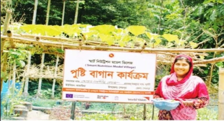 শেরপুরে বসতবাড়ির আঙ্গিনায় পুষ্টি বাগান,নাগিস বেগমের মিটছে চাহিদা
