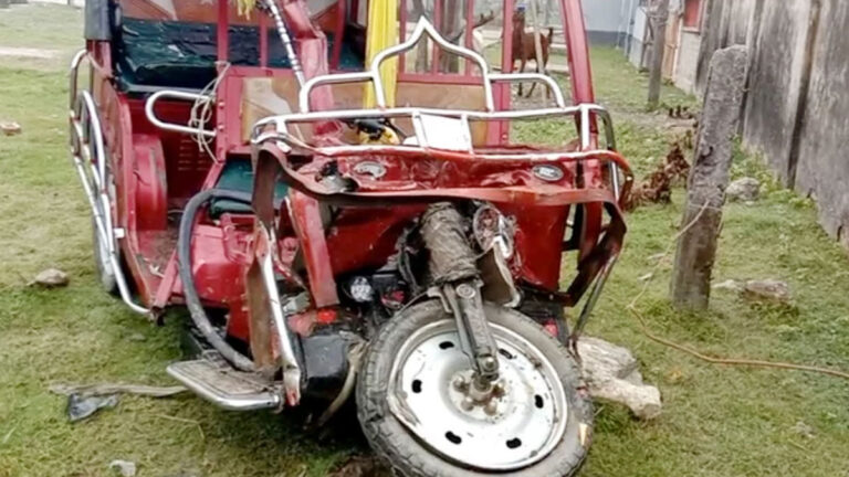 ইজিবাইকে বাসের ধাক্কা, প্রাণ গেল স্বামী-স্ত্রীর