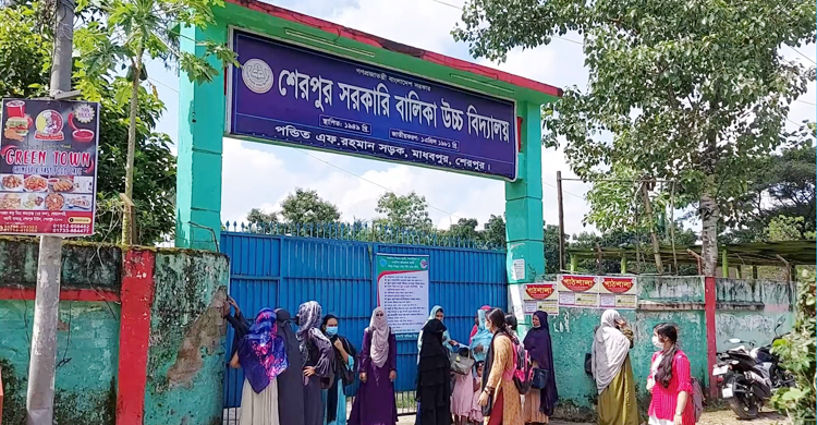 শেরপুরের সব স্কুল-কলেজের ওয়েবসাইট অচল, গচ্চা অর্ধকোটি টাকা