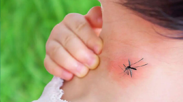 মশা বেশি কামড়ায় যাদের