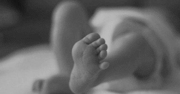 শ্রীবরদীতে নবজাতকের লাশ উদ্ধার