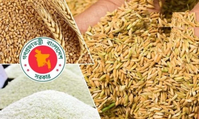 ৫ লাখ টন ধান ও ১২ লাখ টন চাল কিনবে সরকার