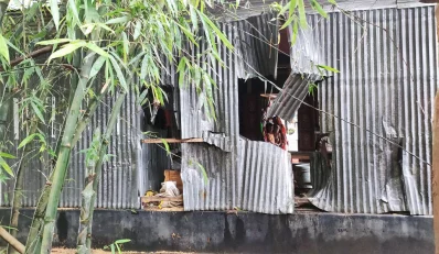 নালিতাবাড়ীতে বন্য হাতির তাণ্ডবে বসতবাড়ি তছনছ
