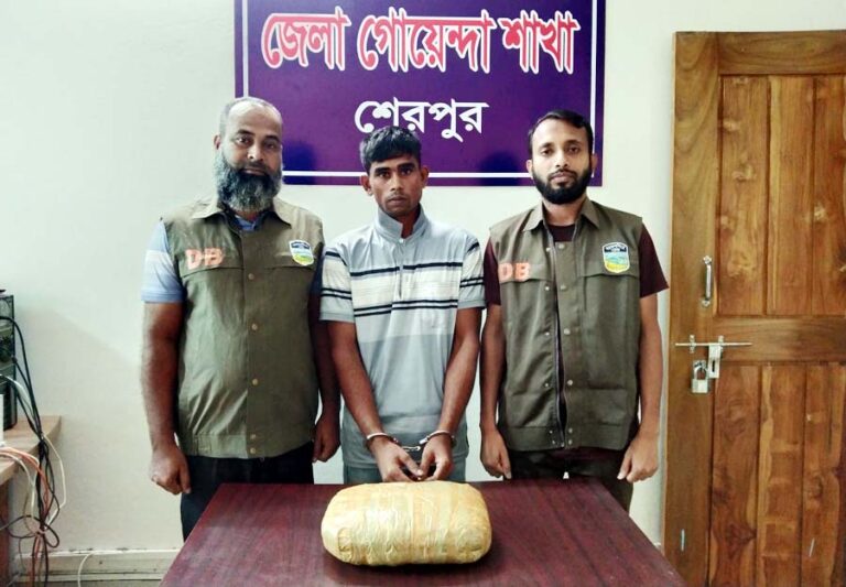 শেরপুরে ডিবি পুলিশের অভিযানে গাঁজাসহ মাদক ব্যবসায়ী গ্রেফতার