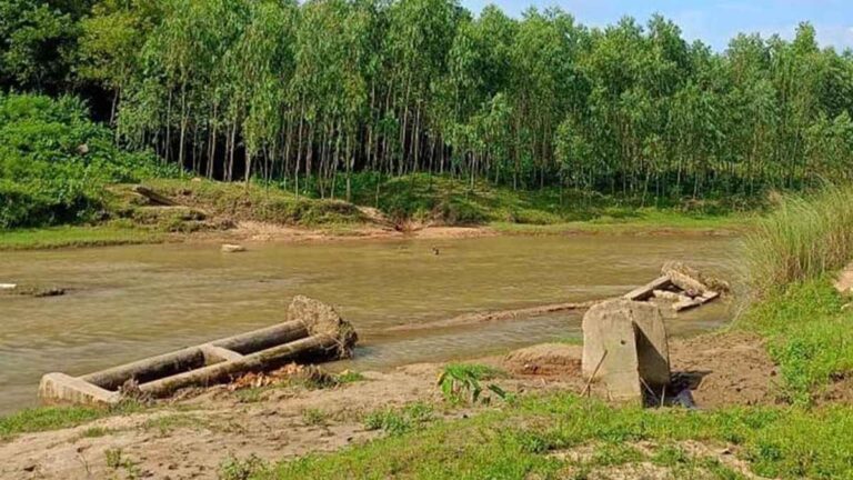 শেরপুরে সেতু ভেঙে যাওয়ায় দুর্ভোগে ১০ গ্রামের মানুষ