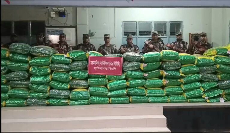 শেরপুরের নাকুগাঁও সীমান্তে প্রায় ৬ টন ভারতীয় চোরাই জিরা উদ্ধার