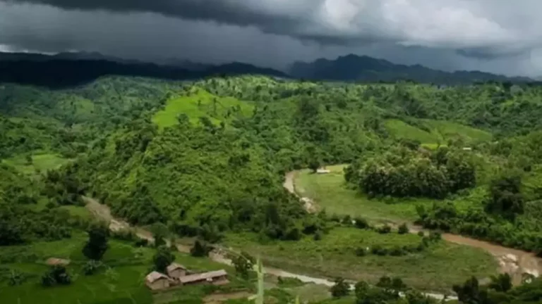 ১০ লাখ টাকা মুক্তিপণে লামার ২৫ অপহৃত শ্রমিক মুক্ত