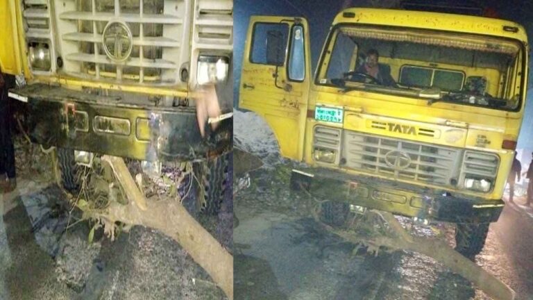 পাবনায় মধ্যরাতে সড়কে গাছ ফেলে ৪০ গাড়িতে ডাকাতি