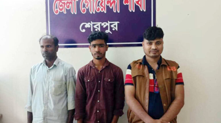 শেরপুরে ভেজাল হলুদের গুড়া তৈরির সময় গ্রেফতার ২