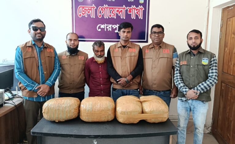 নালিতাবাড়ীতে ১২ কেজি গাঁজাসহ কারবারি গ্রেফতার