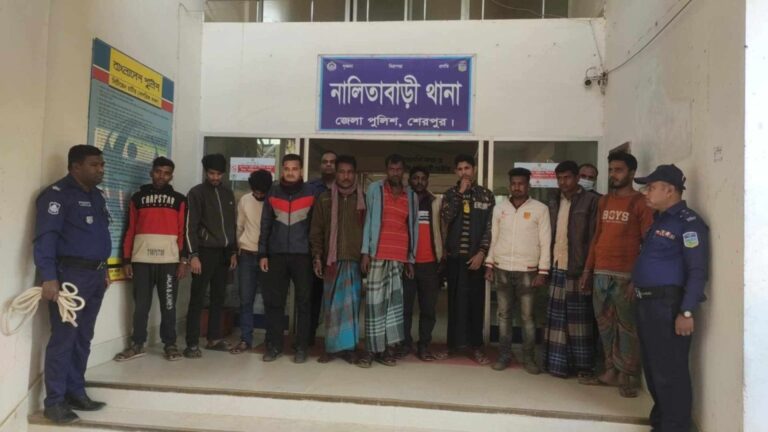 নালিতাবাড়ীতে ৯ জুয়াড়ি ও ইয়াবাসহ দুই কারবারি গ্রেফতার