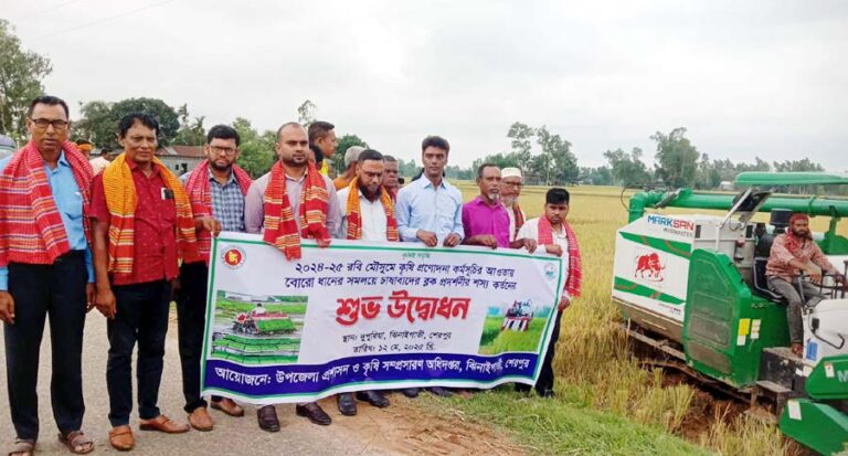 ঝিনাইগাতীতে সমলয় পদ্ধতিতে বোর ধান কর্তনের উদ্বোধন
