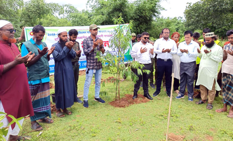 শেরপুরের গারো পাহাড়ে হাতি ও বন্যপ্রাণীর জন্য গাছের চারা রোপণ