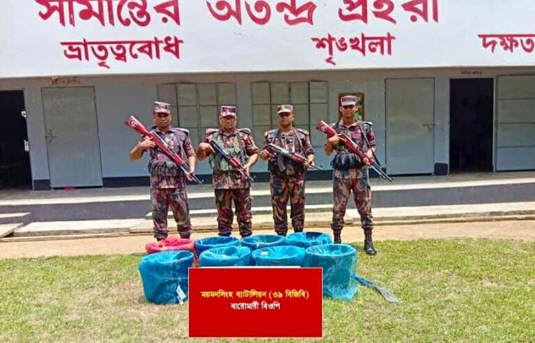 নালিতাবাড়ী দিয়ে ভারতে পাচারকালে ৬৩ কেজি শিং মাছ জব্দ
