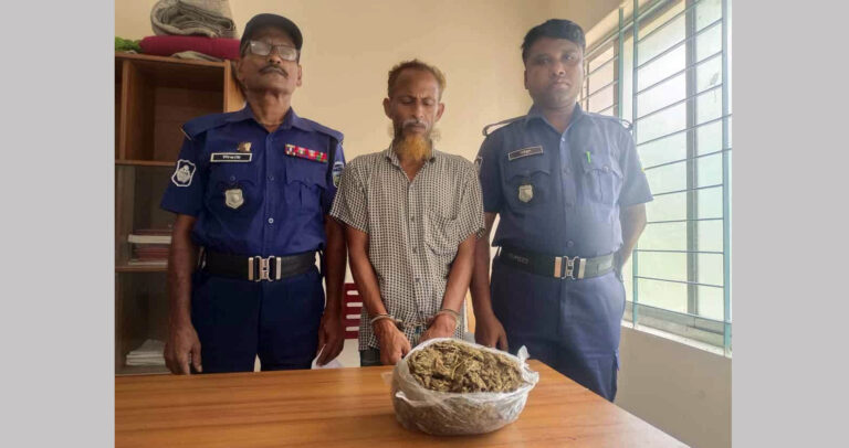 নালিতাবাড়ীতে গাঁজাসহ মাদক ব্যবসায়ী গ্রেফতার