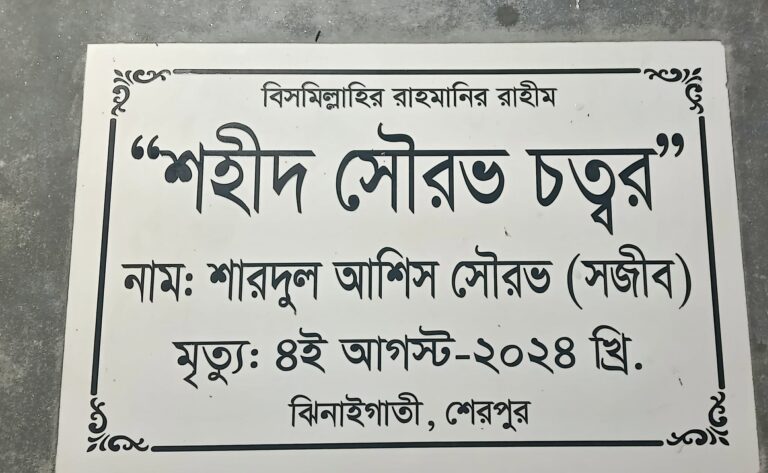 সৌরভ চত্বর উন্মোচনে বিতর্কিত ব্যক্তির উপস্থিতি: ইউএনও’র দৃঢ় প্রতিবাদ, অভিযুক্ত গ্রেপ্তার