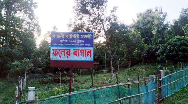 ঝিনাইগাতীতে ব্যাপটিস চার্চের সাইনবোর্ড টাঙিয়ে বনভূমি জবরদখল, বৃক্ষরোপণে বাধা