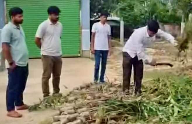 ঝিনাইগাতী বাজারে ইউএনও’র অভিযান: নিষিদ্ধ আকাশমণি-ইউক্যালিপটাস চারা ধ্বংস