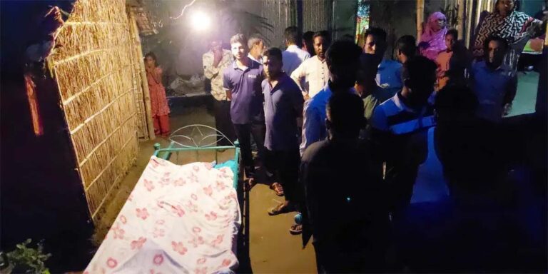 শেরপুরে বিলে শাপলা তুলতে গিয়ে ২ শিশুর মৃত্যু