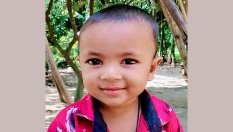 নকলায় ভিমরুলের কামড়ে শিশুর মৃত্যু
