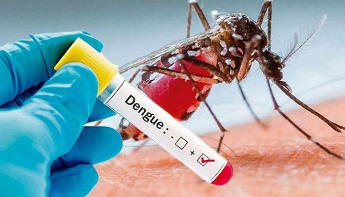 ডেঙ্গুতে আরও ৩ জনের মৃত্যু, নতুন আক্রান্ত ৪১২