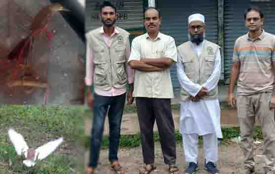 নকলায় ৫টি পাখি ধরার ফাঁদ জব্দ, পাখি অবমুক্ত