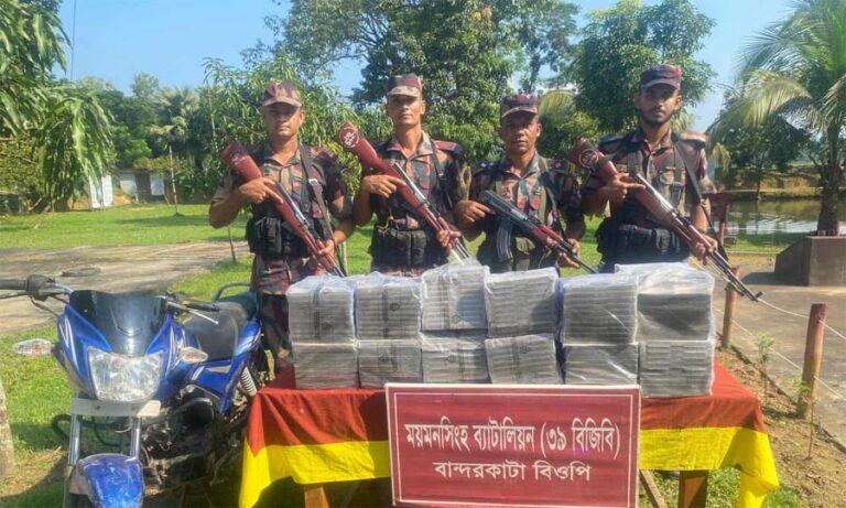ময়মনসিংহ-শেরপুর সীমান্তে বিজিবির অভিযানে গরু ও চোরাচালানী মালামাল আটক