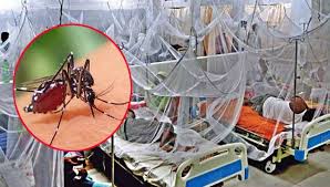 ডেঙ্গুতে একদিনে ১২ জনের মৃত্যু